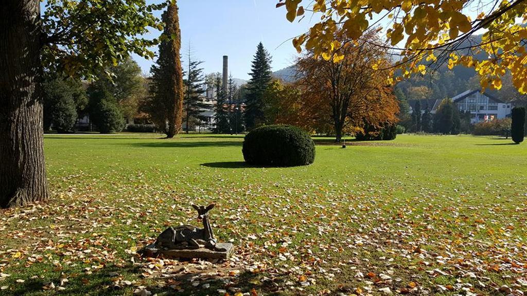 Hotel Royal Spa Banja Koviljača Buitenkant foto