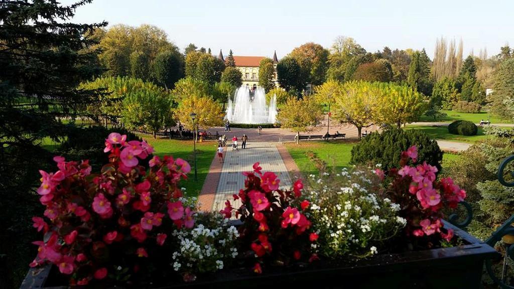 Hotel Royal Spa Banja Koviljača Buitenkant foto